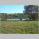 Tust 13.10.2008-3.JPG